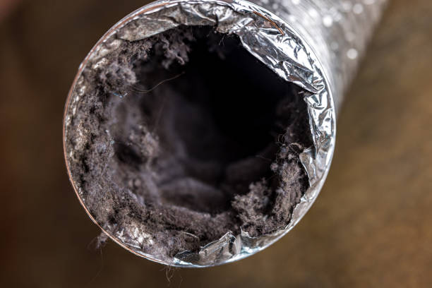 Best Affordable Air Duct Cleaning  in Kirksville, MO